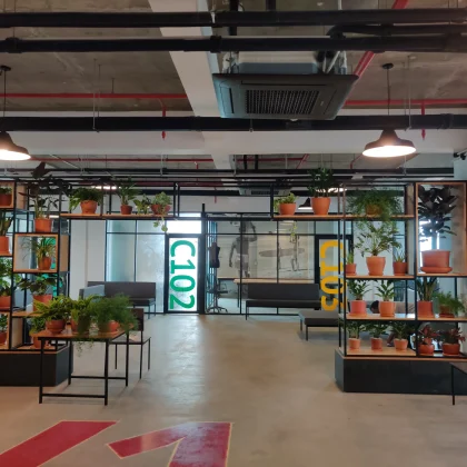 Greening the Concrete Jungle